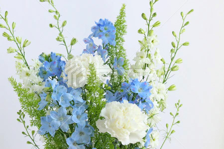 お花屋さん記事サンプル