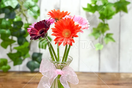 お花屋さん記事サンプル