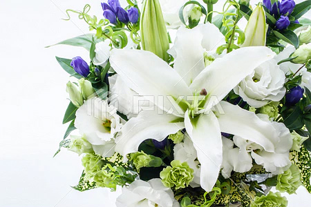 お花屋さん記事サンプル